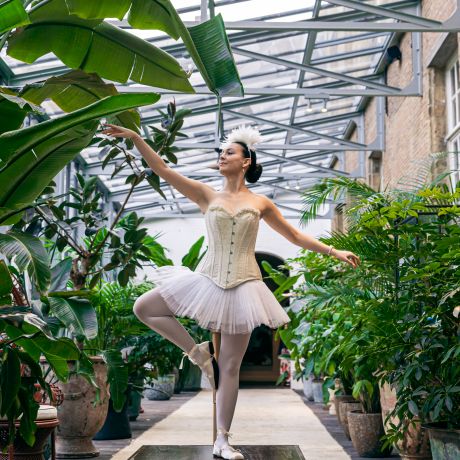 La R&ecirc;verie de Symphonie